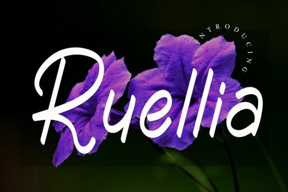 Ruellia: Evaluating a Handcrafted Typeface for Professional Design